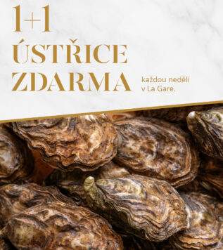 ÚSTŘICE 1+1 ZDARMA V LA GARE